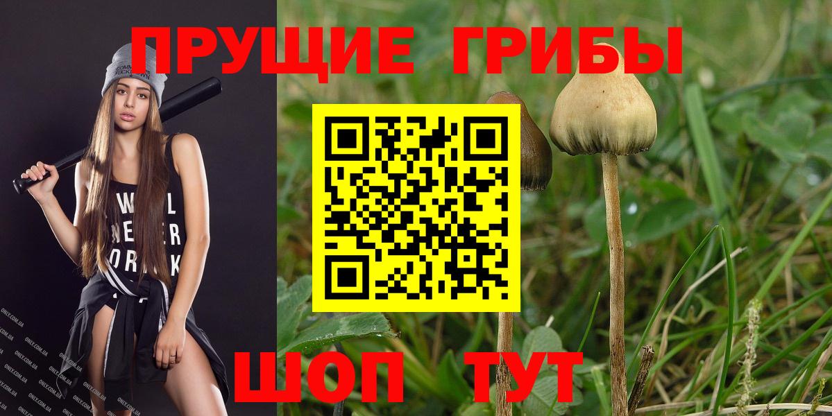 Псилоцибиновые грибы MAGIC MUSHROOMS Изобильный